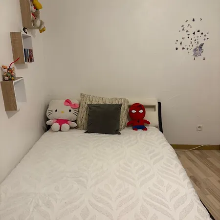 Gite Pfeffel 科尔马